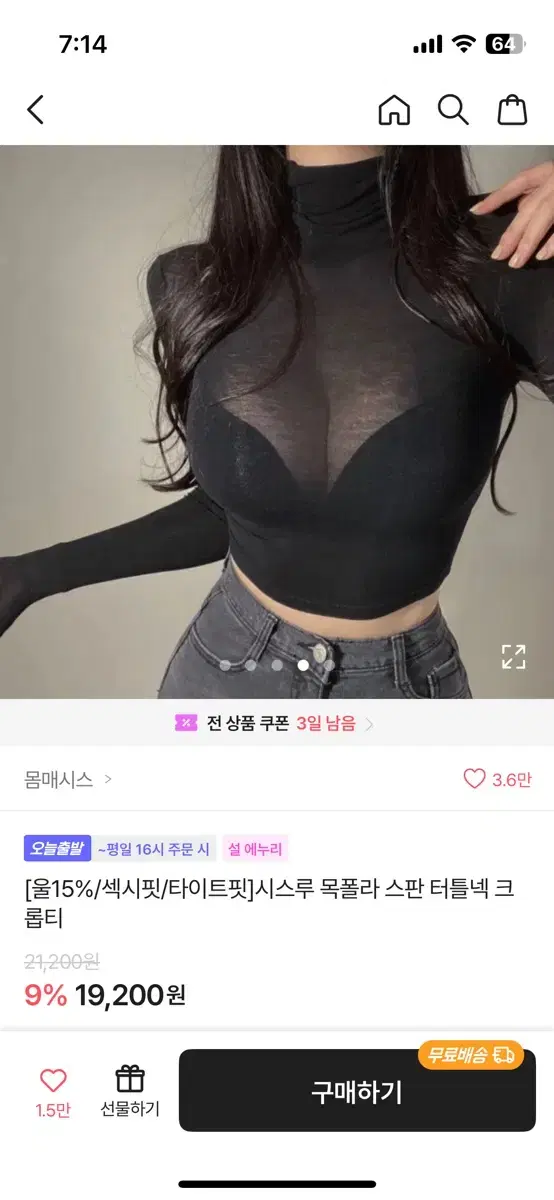 시스루 목폴라 스판 터틀넥 크 롭티